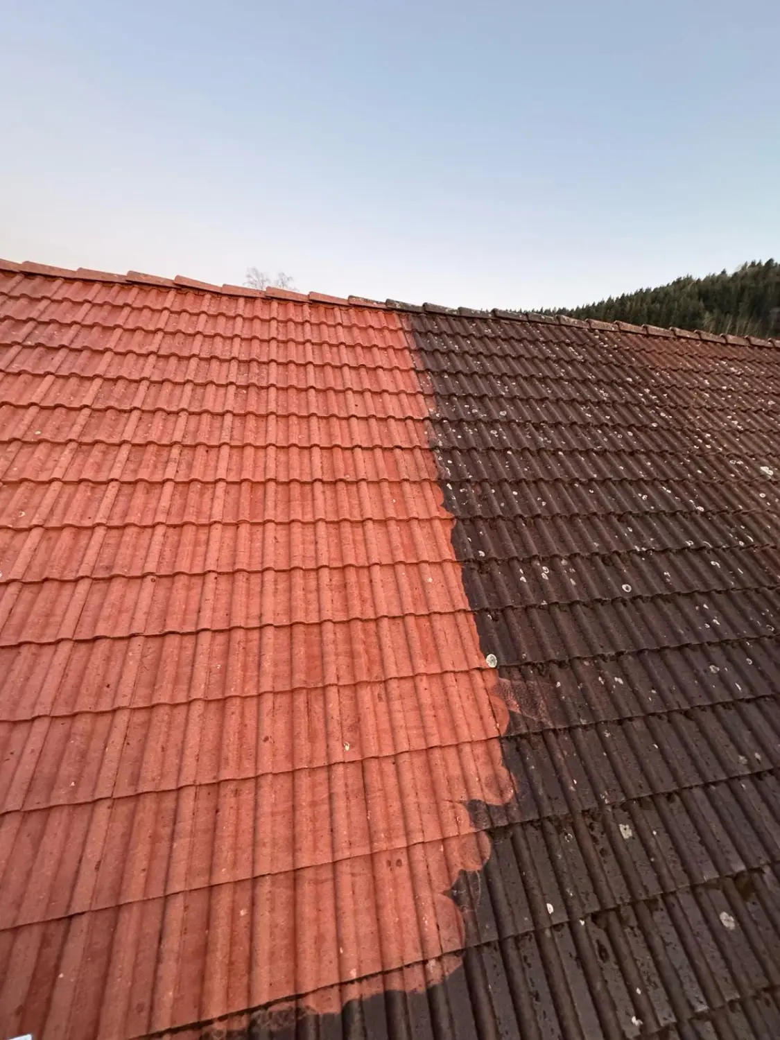 Dachreinigung durch Zollernalb Clean Service