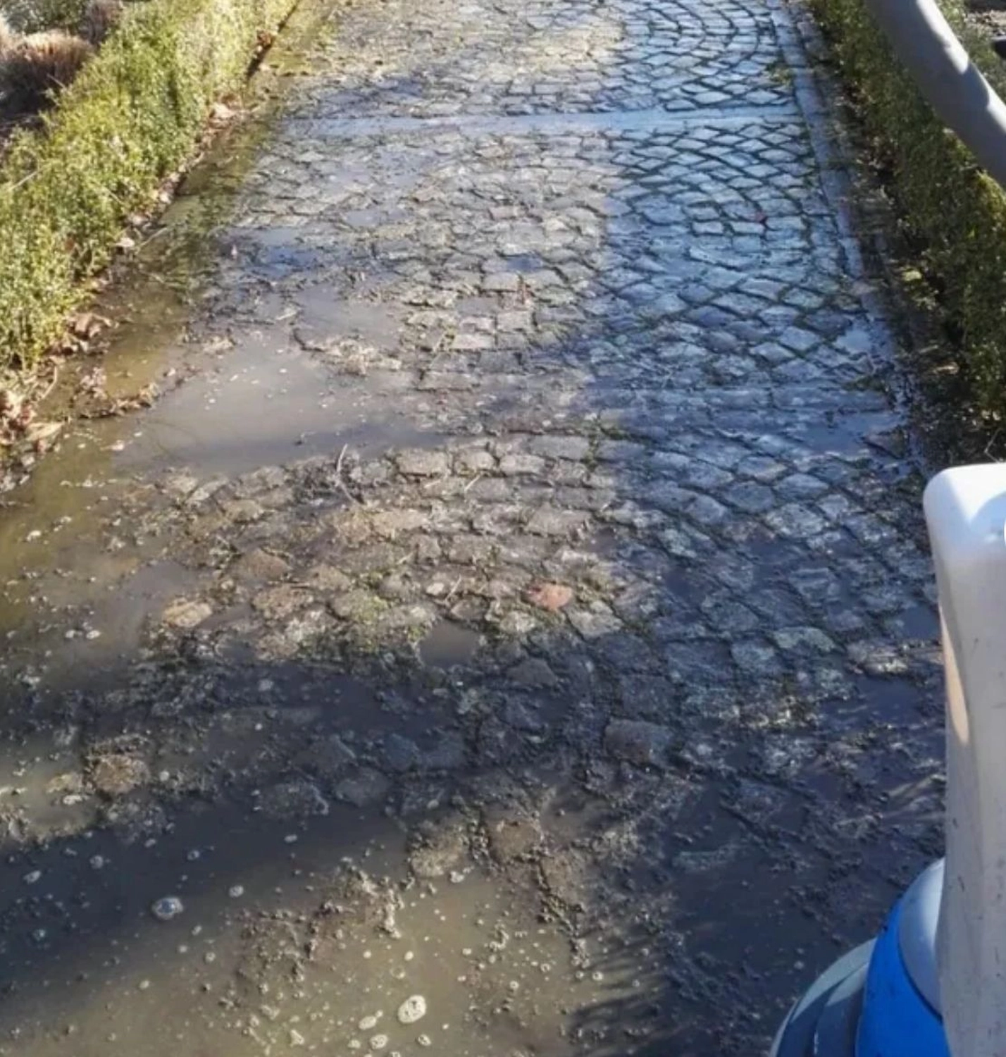 Dachreinigung durch Zollernalb Clean Service