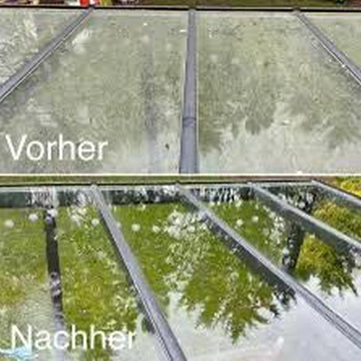 Dachreinigung durch Zollernalb Clean Service