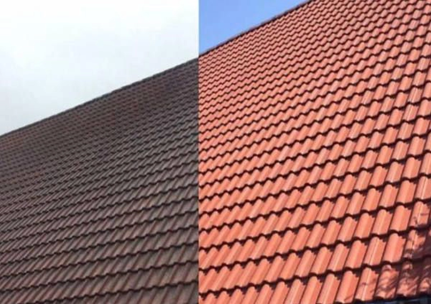 Dachreinigung durch Zollernalb Clean Service