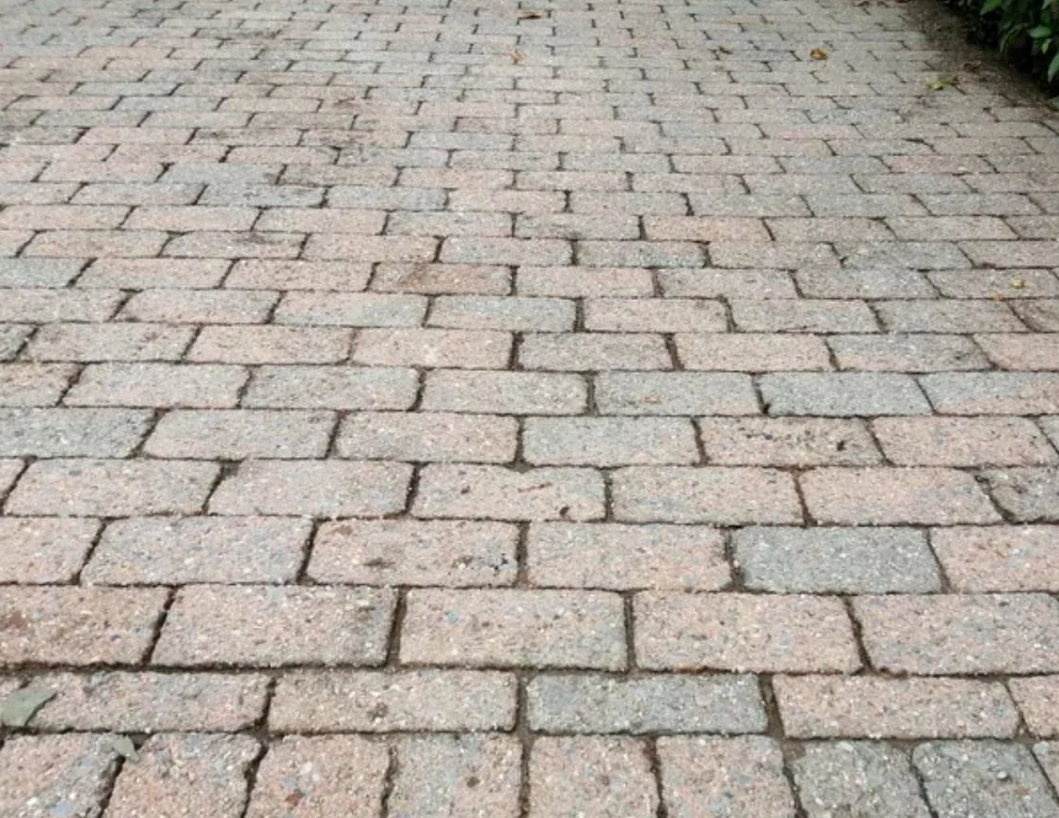 Dachreinigung durch Zollernalb Clean Service